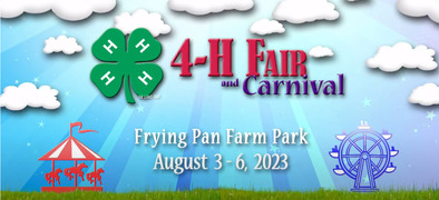 4-H carnival