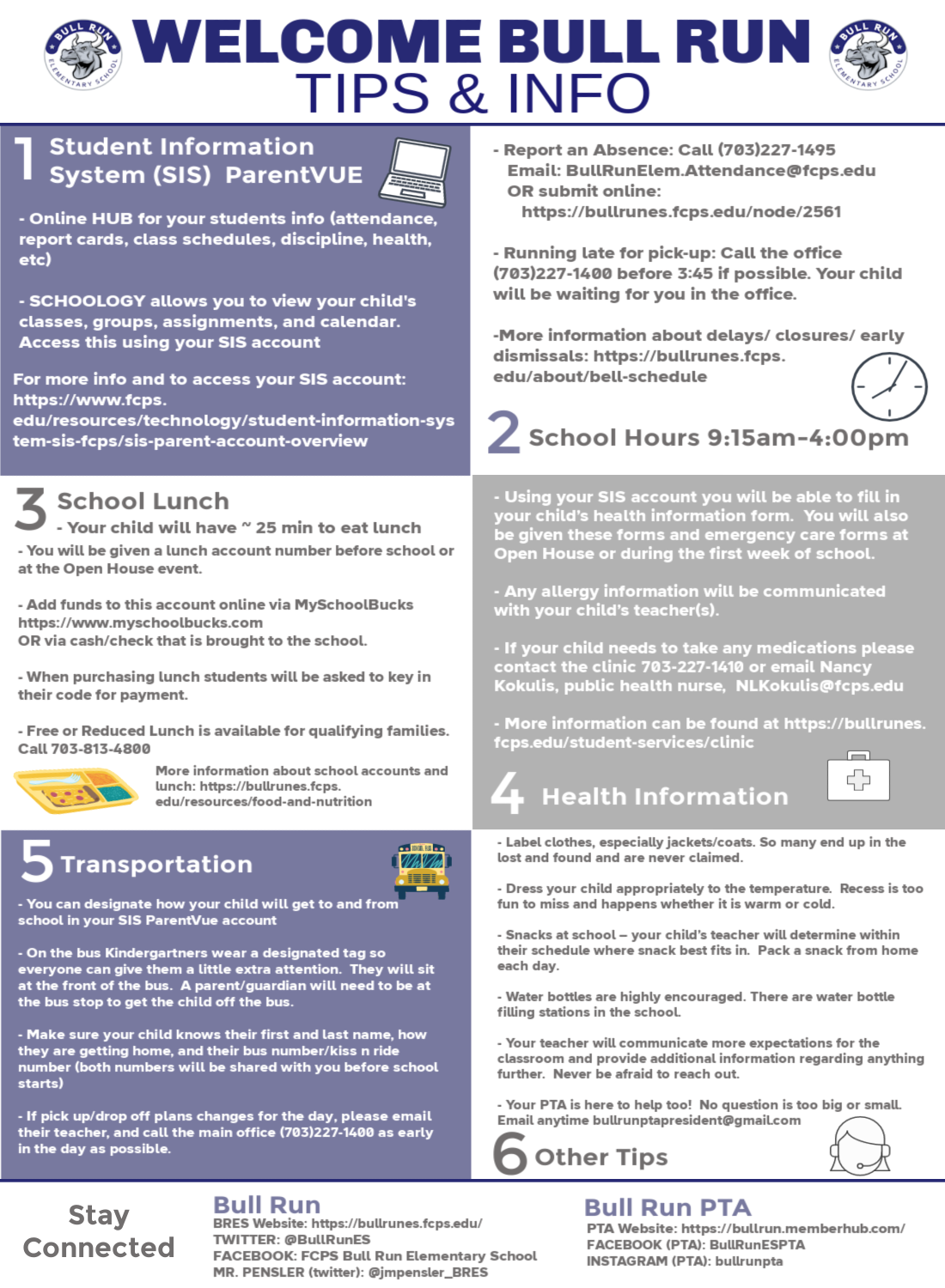 Bull Run Bulls Information