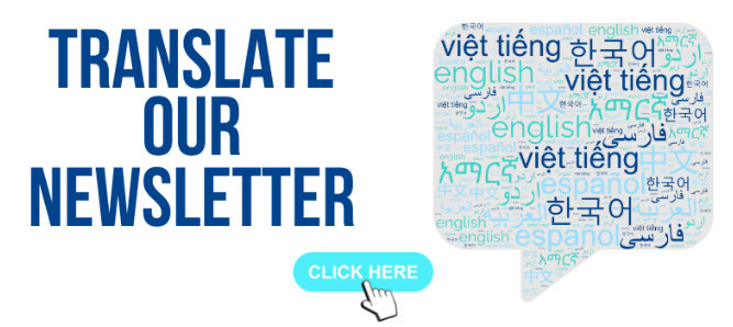 translate newsletter