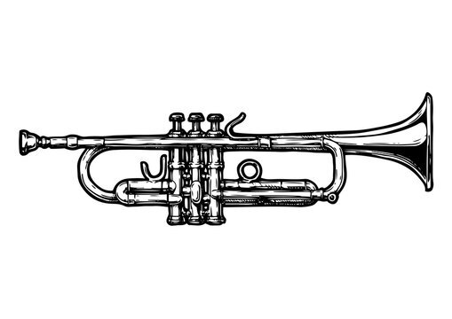 Trumpet