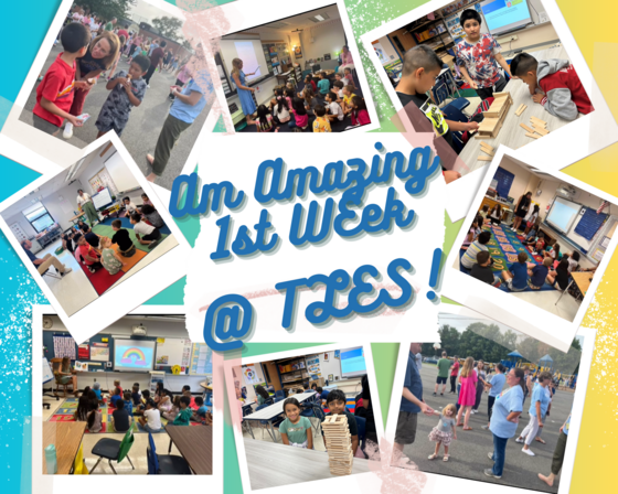 first week happenings at TLES