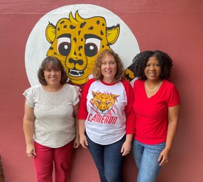 mental wellness team