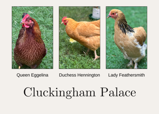 Cluckingham Palace