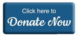 Donate Now