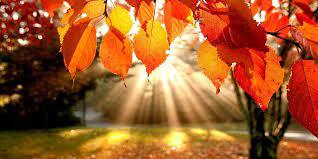 Fall Afterschool Activities