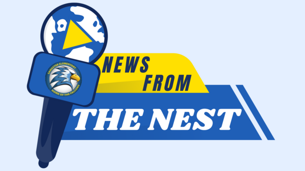 news from the nest