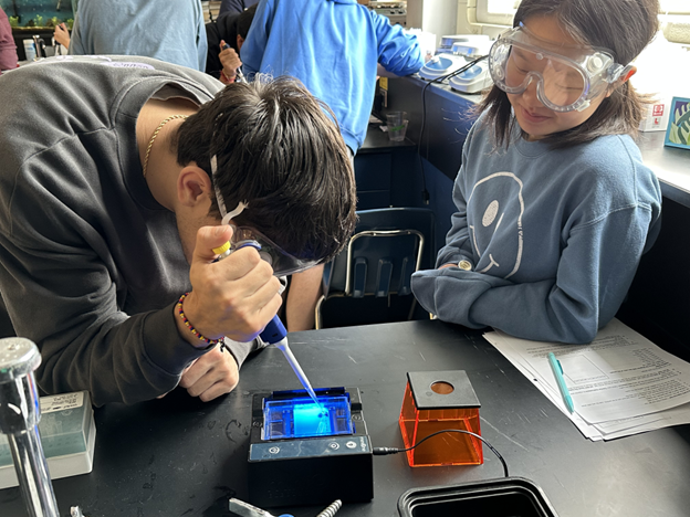 Biology students completing a lab