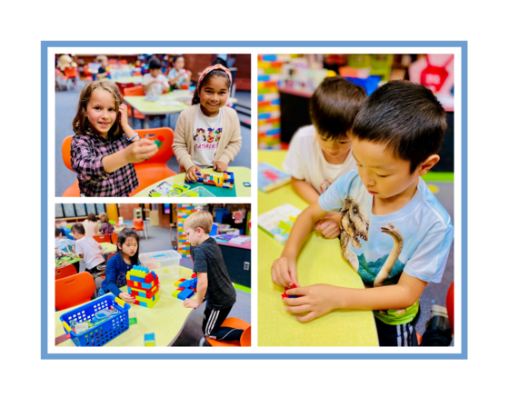 Stem Bins in Library