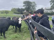 Students petting cow