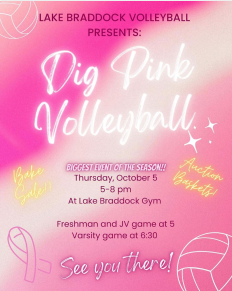 Dig Pink Volleyball