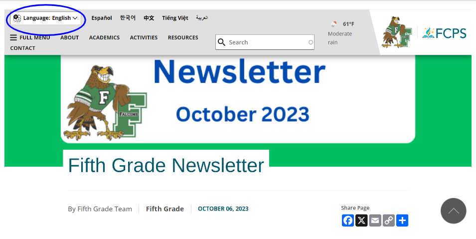 how to translate newsletters