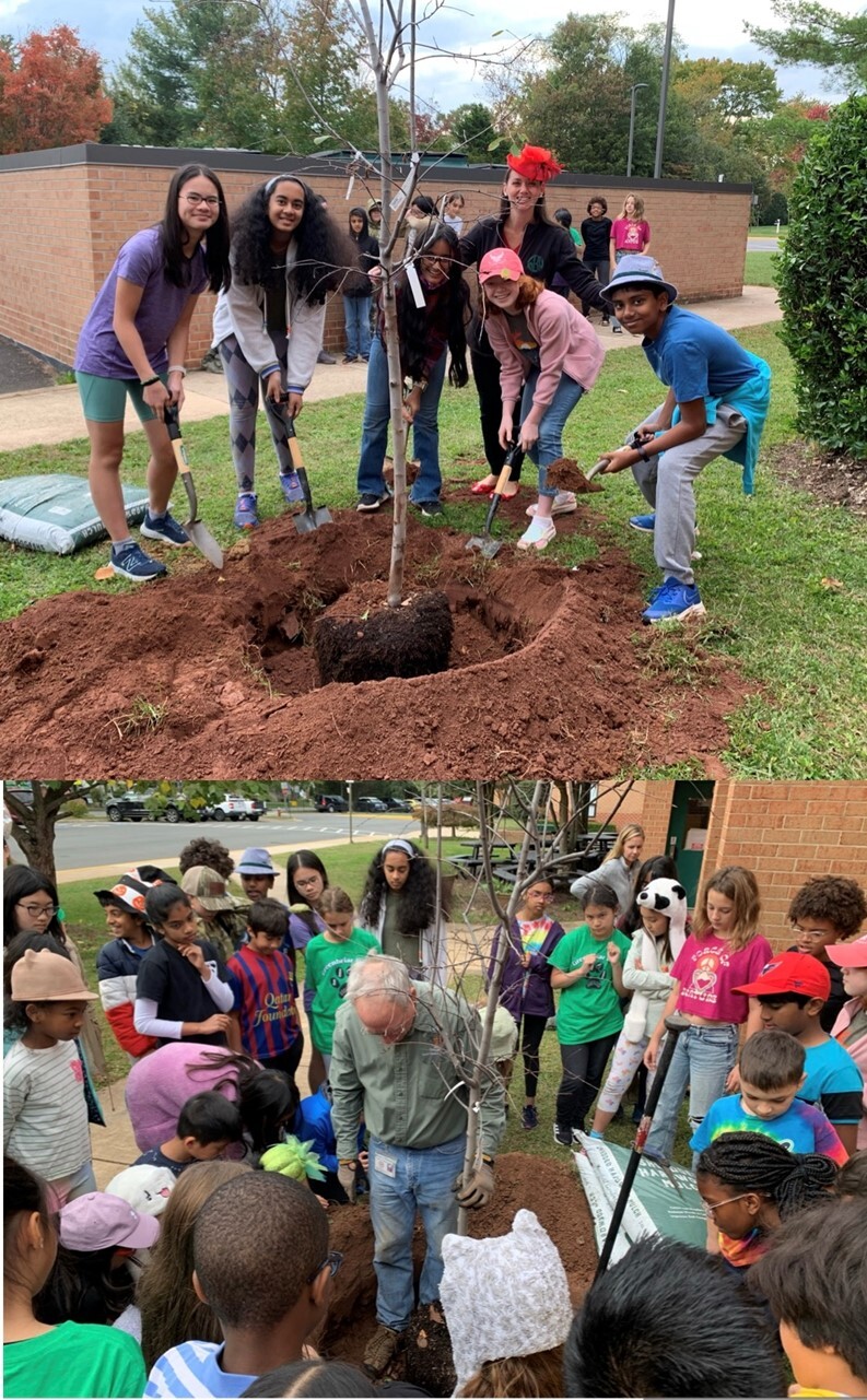 Tree Planting at GBW