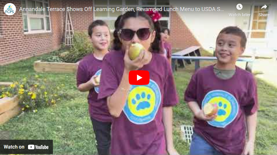 Elementary students eating apples in school garden