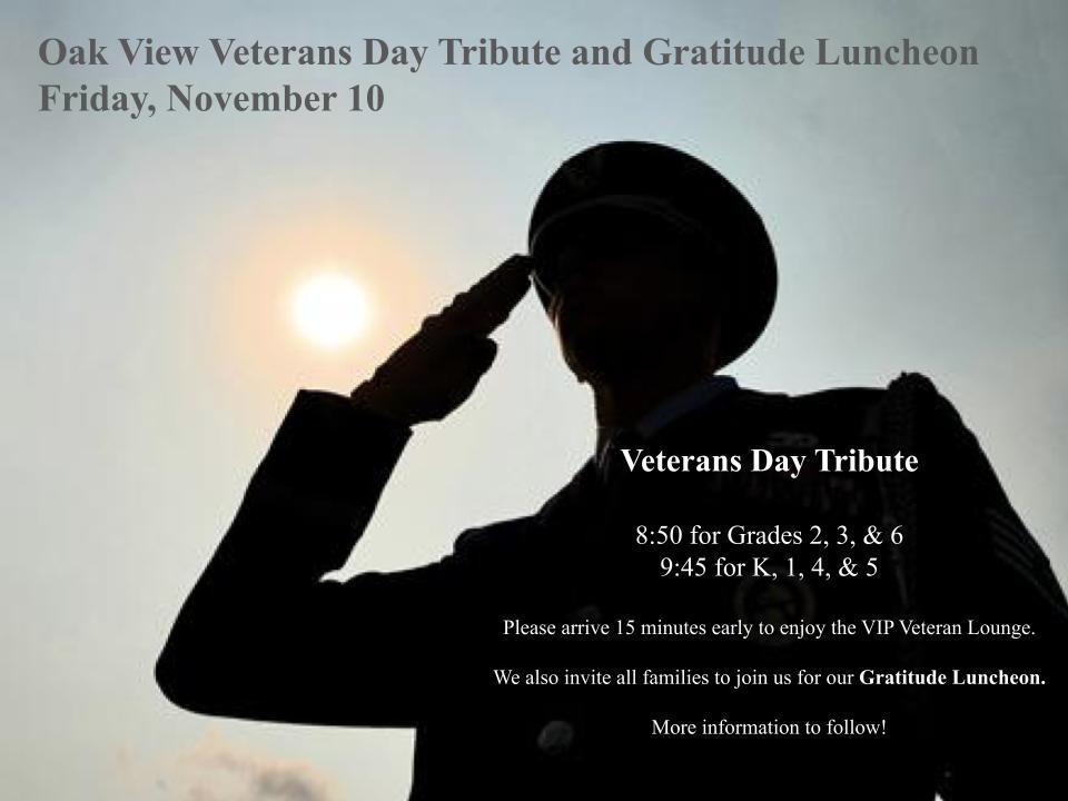 Image of Veterans Day Tribute
