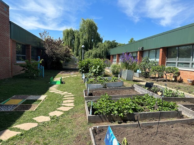 SLES Garden picture