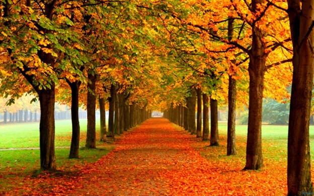 November