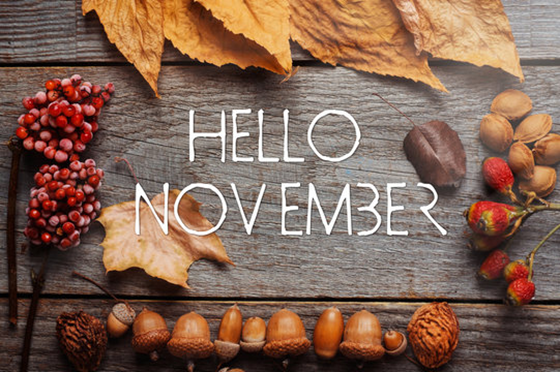 Hello November