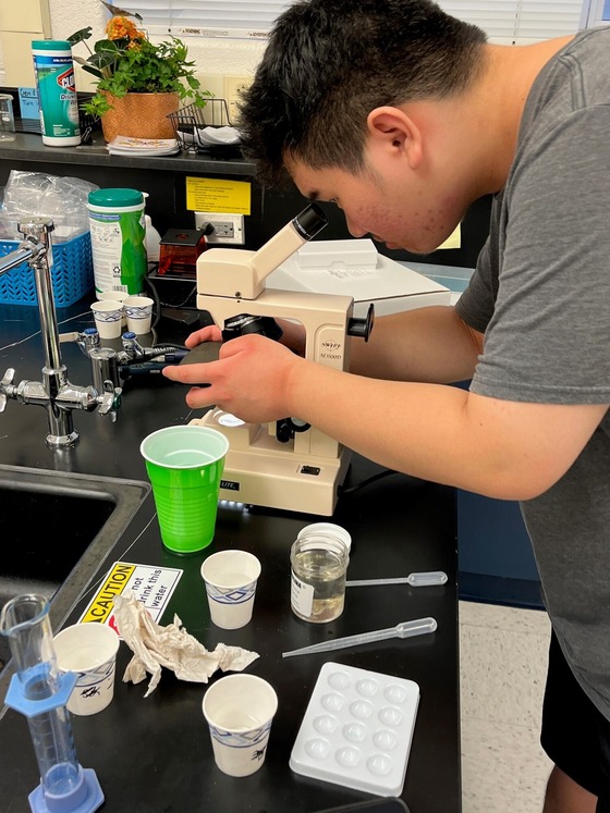 Student works on science fair project