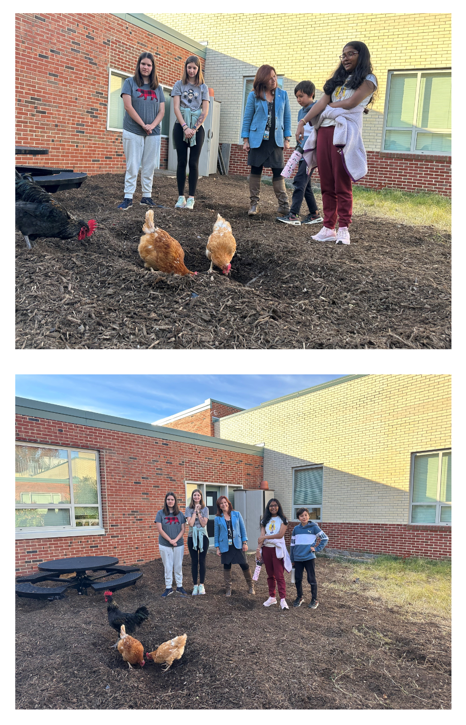 Collage Longfellow MS Visit photos