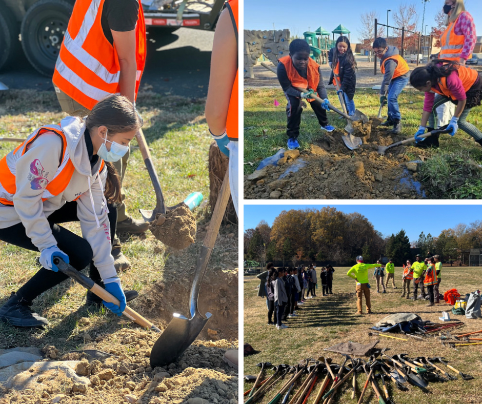 Talon Tales Highlight 