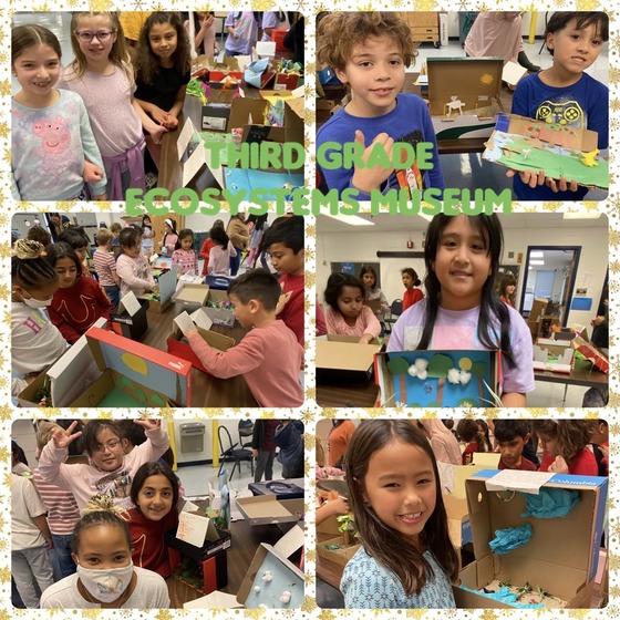 Third Grade Ecosystem Museum 