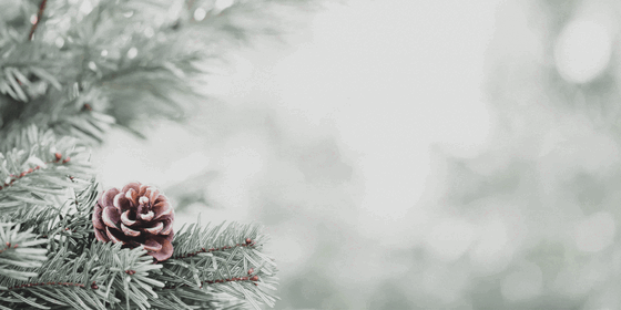 Wishing you happy holidays and a wonderful winter break!