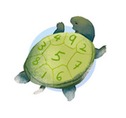 Turtle with numbers on shell