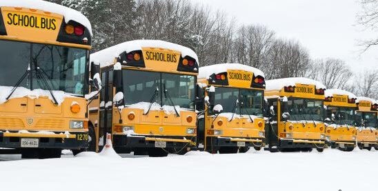 buses with snow
