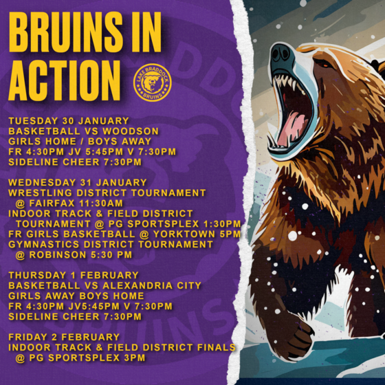 Support the Bruins!