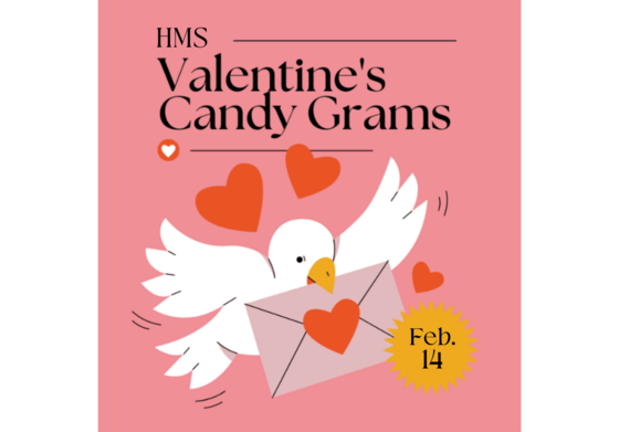 Valentines Candy Gram
