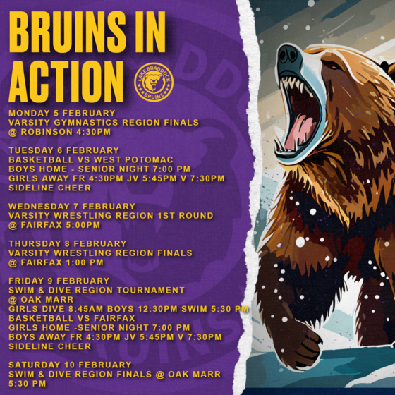 Bruins in Actions