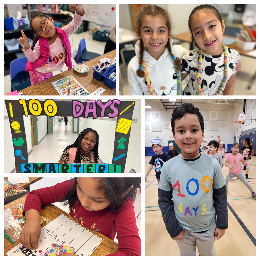 Celebrating 100 days of learning