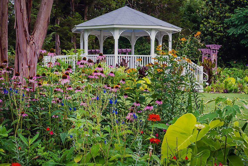 Green Spring Garden Park