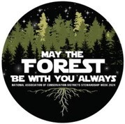 May the forest be with you graphic