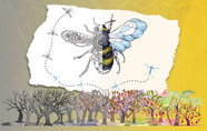 FCPS science fair bee graphic