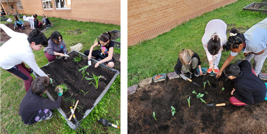 Students working in the Lane garden