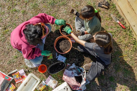 Students plant seeds in clay flower pots. 