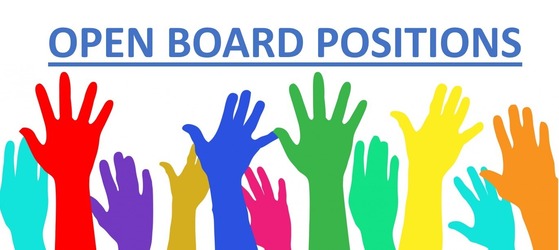 pta board positions