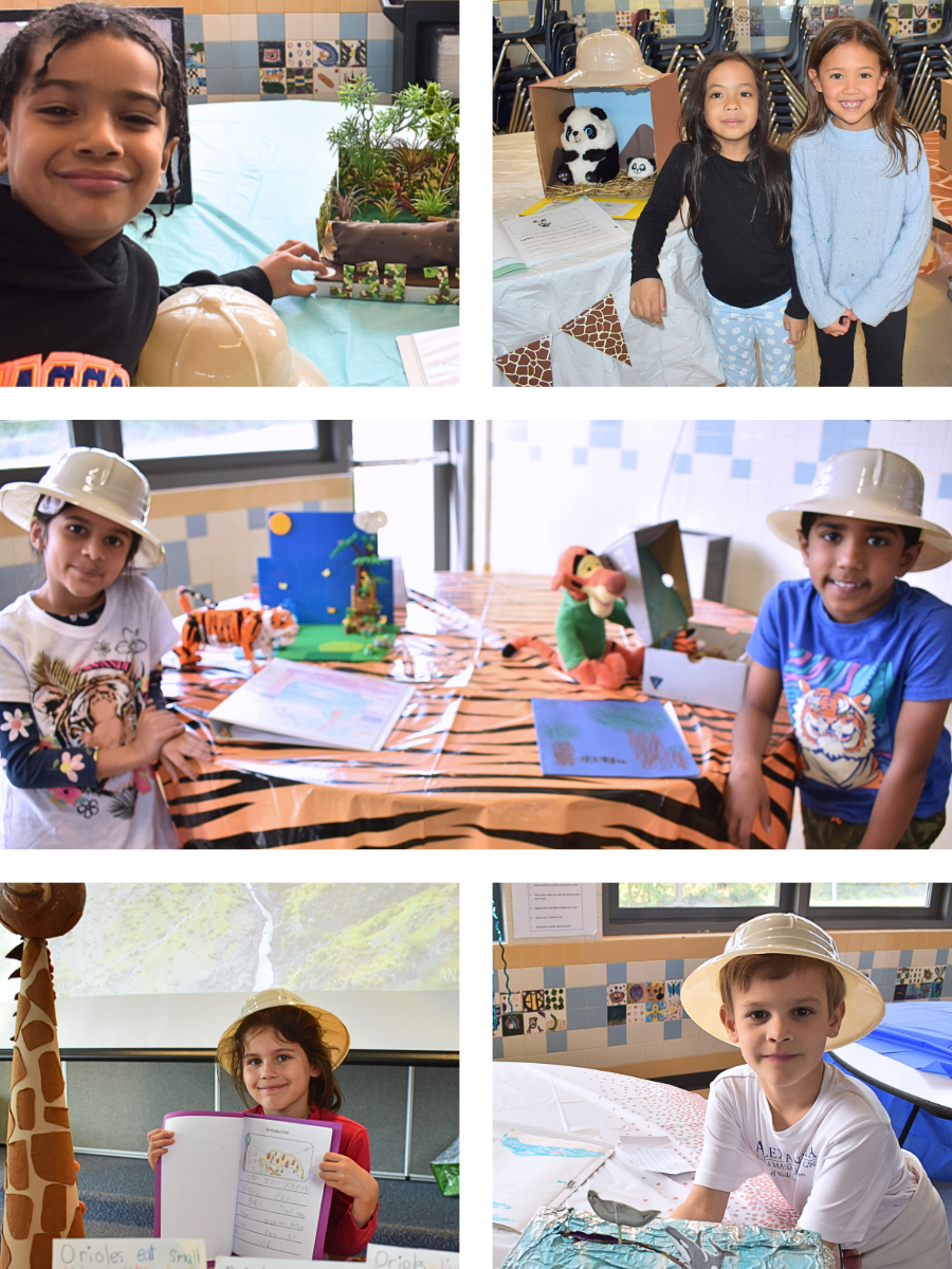 collage of pictures from 1st grade safari day