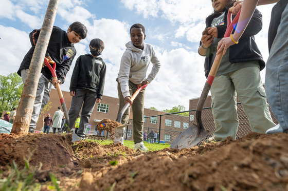 Students dig with shovels, planting trees. 