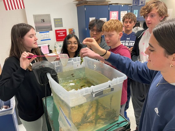 Ms. Barry's class creating Biome Bottles