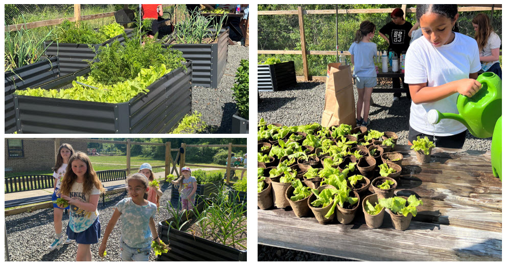 2nd grade garden pix