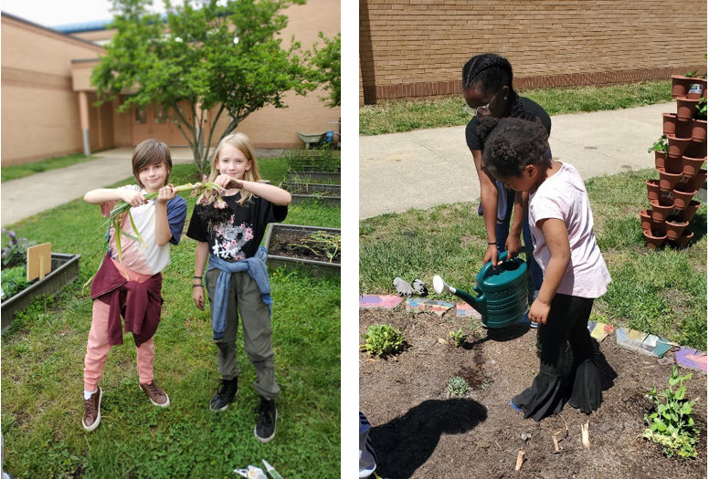Students working with spring plantings in the garden
