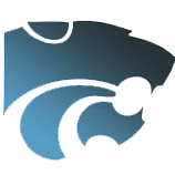 wildcat logo