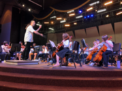Image of Strings Concert