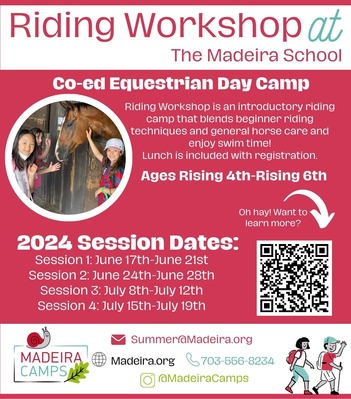 Madeira riding workshop