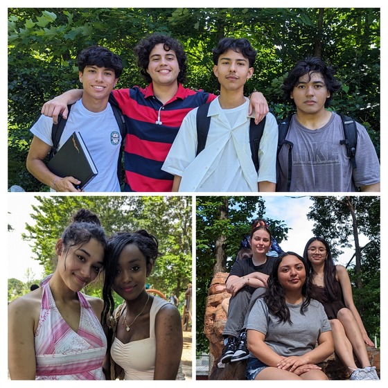 collage from senior picnic