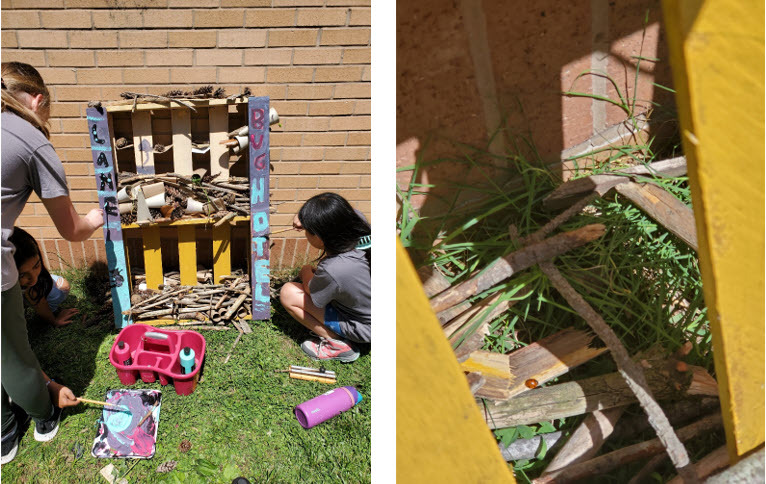 students building a bug hotel with wood and natural items