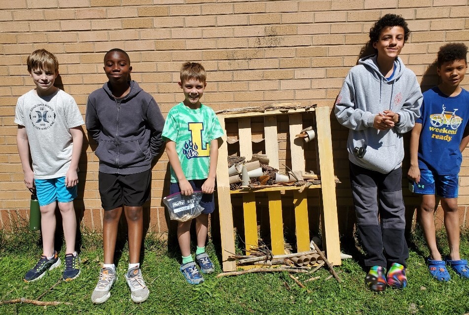 students building a bug hotel with wood and natural items