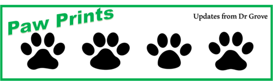 Paw Prints Updates from Dr. Grove